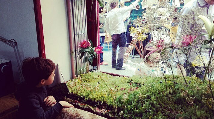 jardín efímero en nuestro escaparate