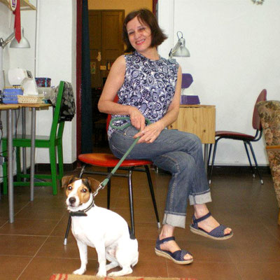  perritos bienvenidos con dueños esducados
