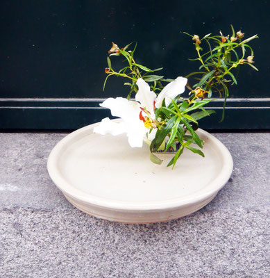 ikebana (arte floral japonés)